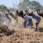 téléchargement (2)